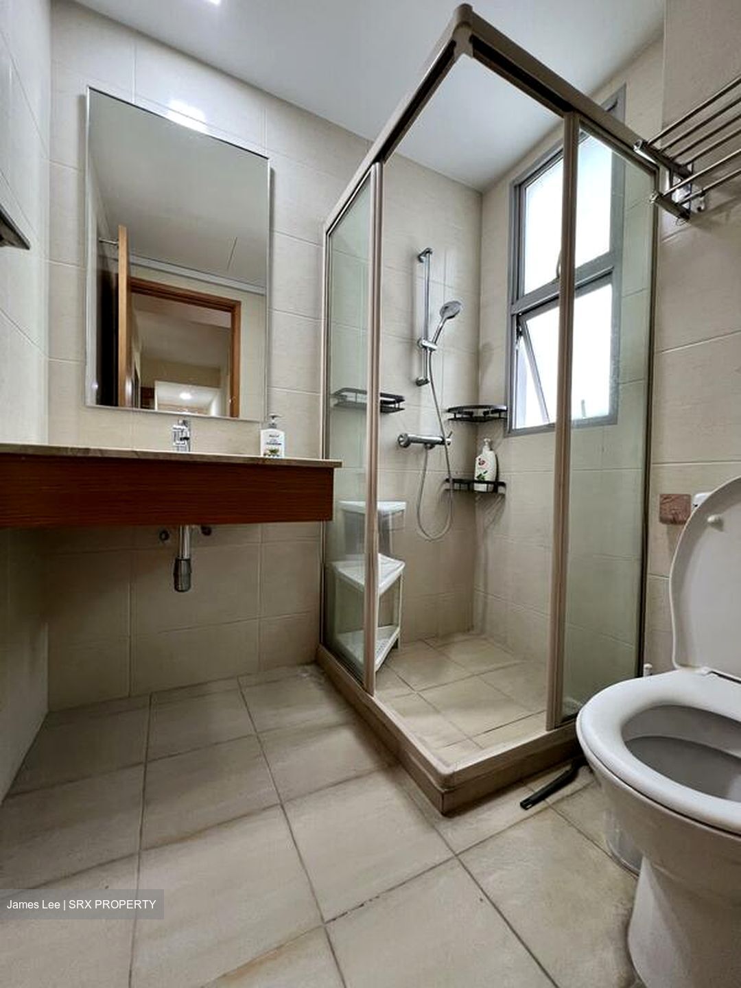 The Lakeshore (D22), Condominium #499441061